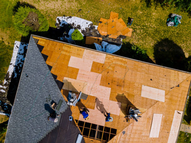 Best Roof Gutter Cleaning  in South Vacherie, LA