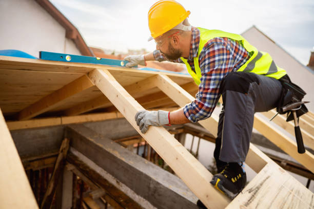 Best Roof Gutter Cleaning  in South Vacherie, LA