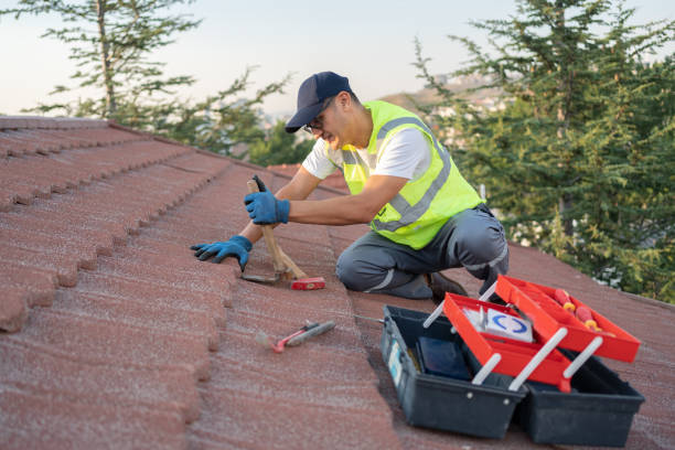 Roof Gutter Cleaning in South Vacherie, LA